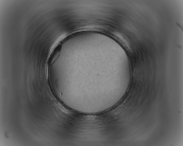 X0000091511180200709070946