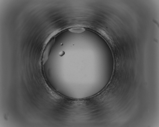 X0000091511181200709070946