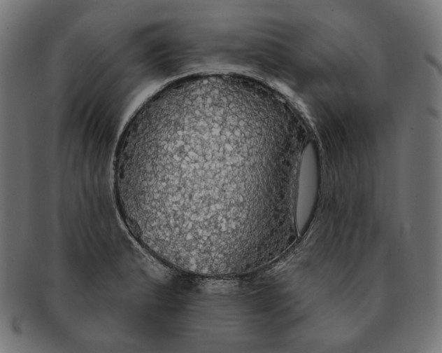 X0000091511183200709070946