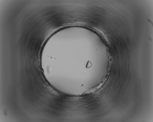 X0000091511184200709070946