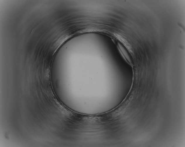 X0000091511185200709070946