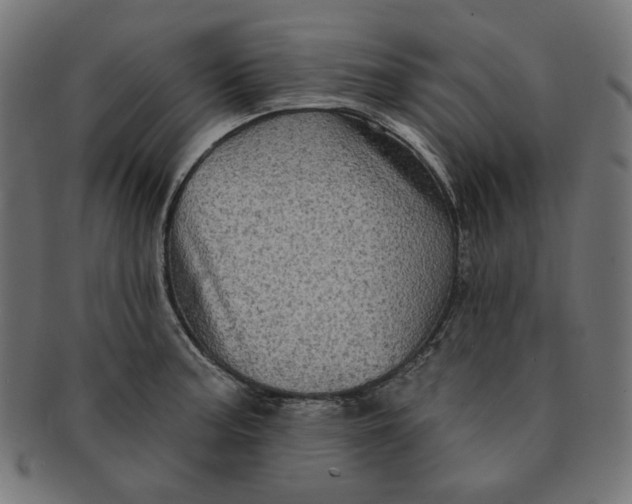 X0000091511187200709070946