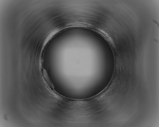 X0000091511188200709070946