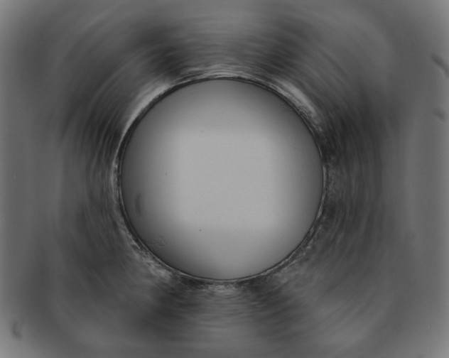 X0000091511190200709070946