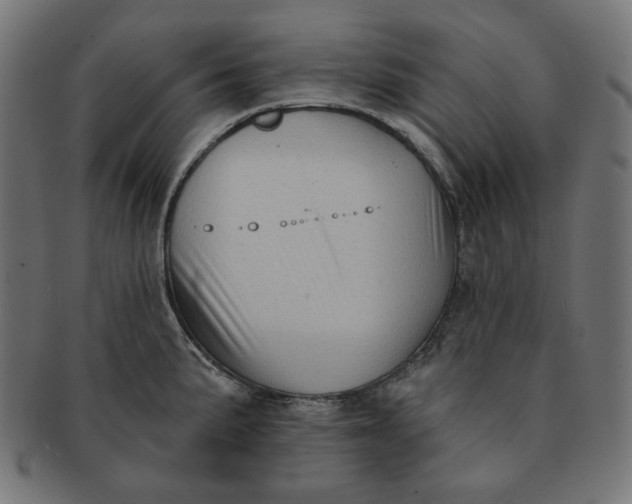 X0000091511191200709070946