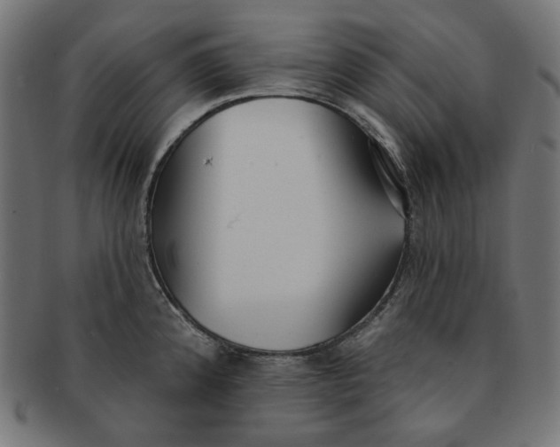 X0000091511192200709070946