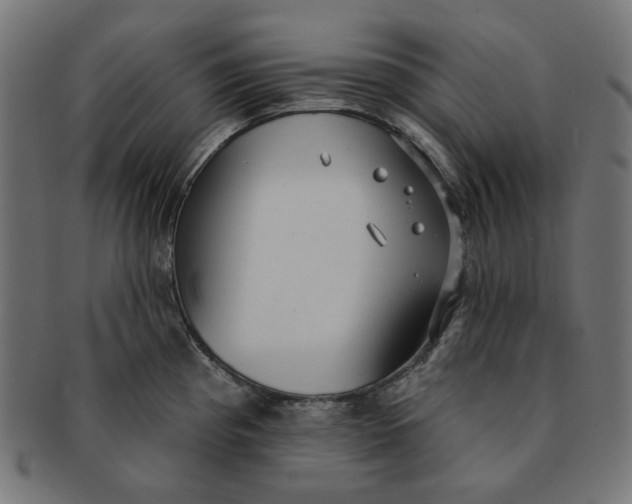 X0000091511193200709070946