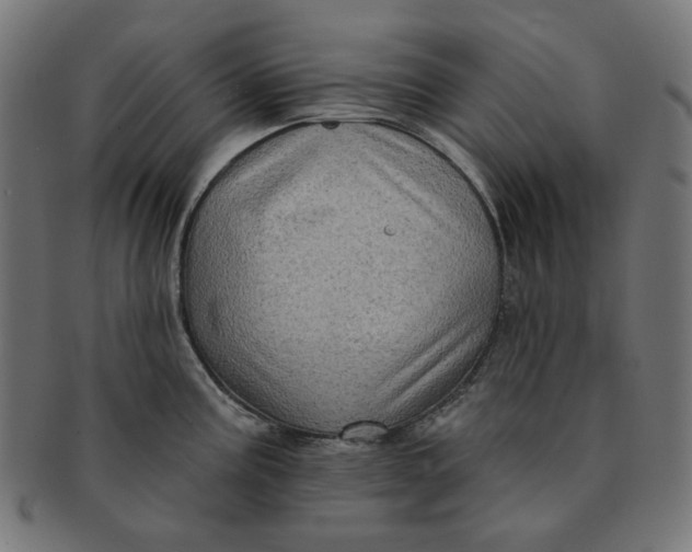 X0000091511195200709070946