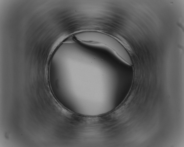 X0000091511196200709070946