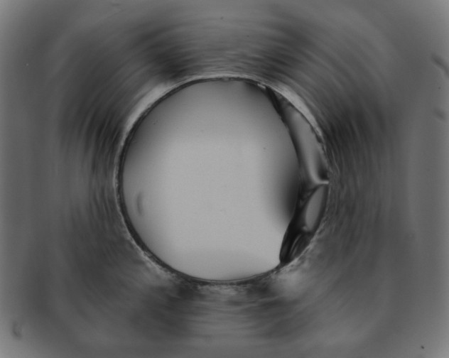 X0000091511197200709070946