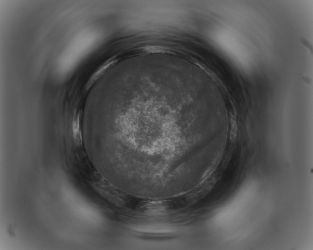 X0000091511198200709070946