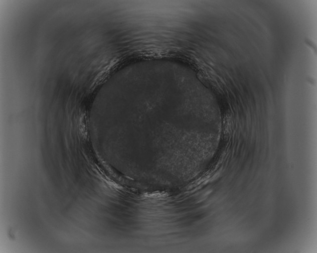 X0000091511202200709070945