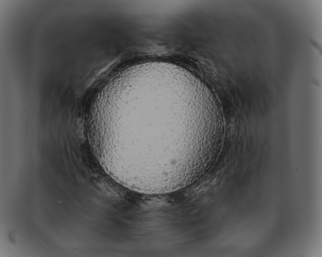 X0000091511205200709070945