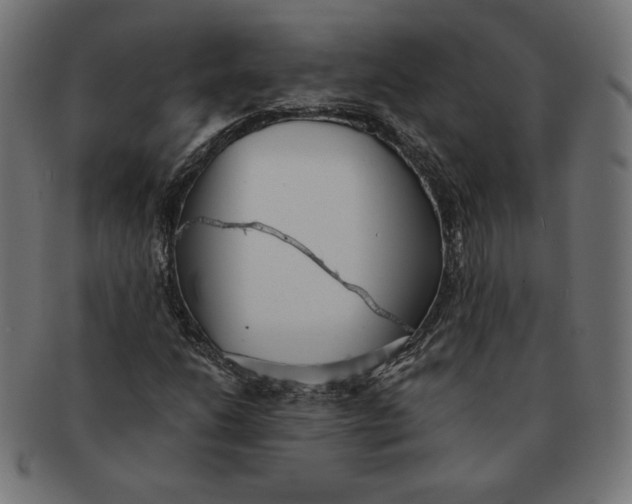 X0000091511206200709070945