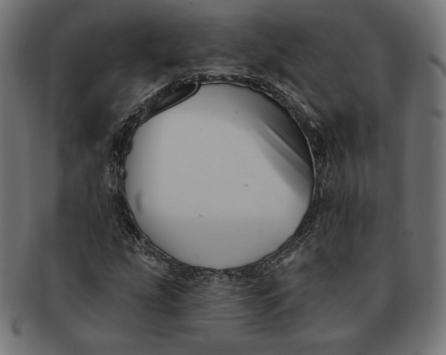 X0000091511207200709070945