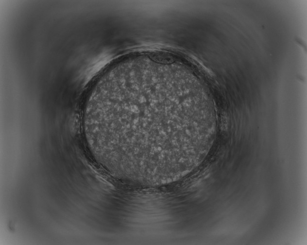 X0000091511208200709070945