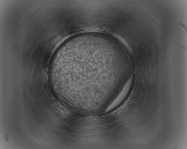 X0000091511212200709070945