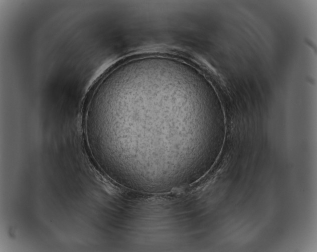 X0000091511216200709070945