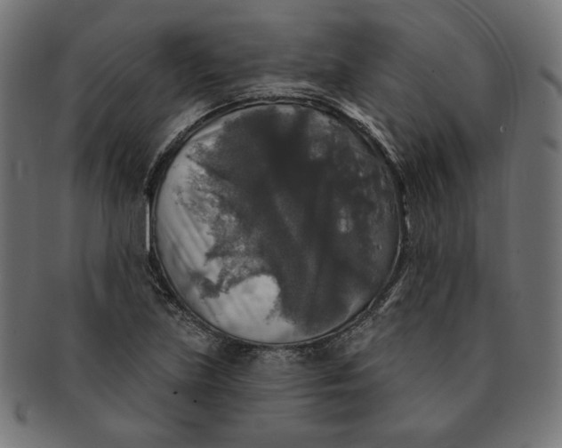 X0000091511219200709070945