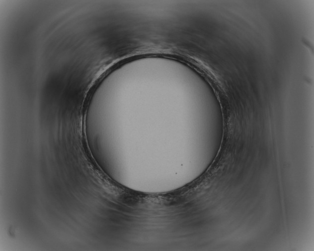 X0000091511220200709070945