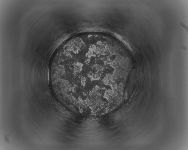 X0000091511221200709070945