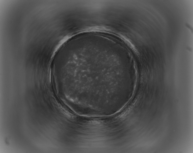 X0000091511224200709070946