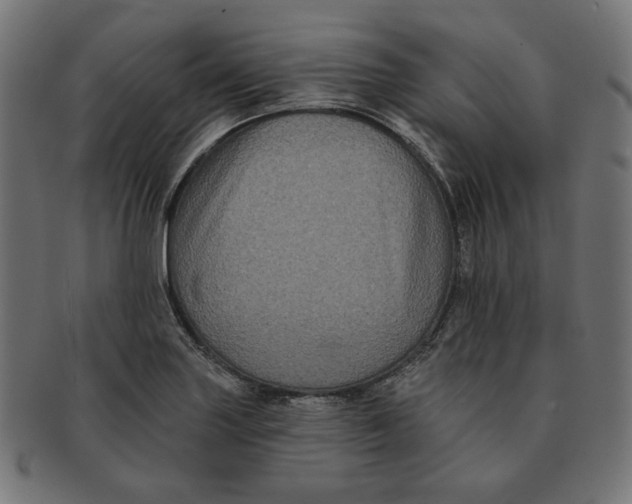 X0000091511227200709070946