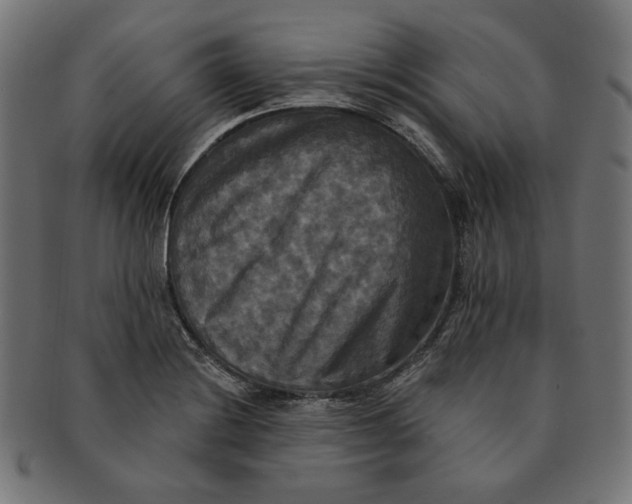 X0000091511228200709070946