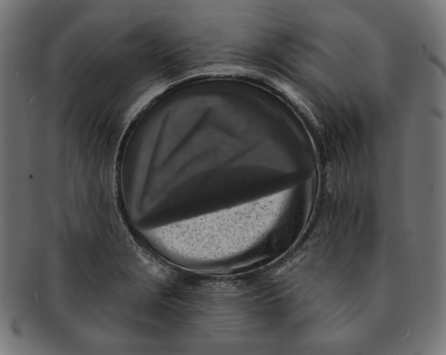 X0000091511229200709070946