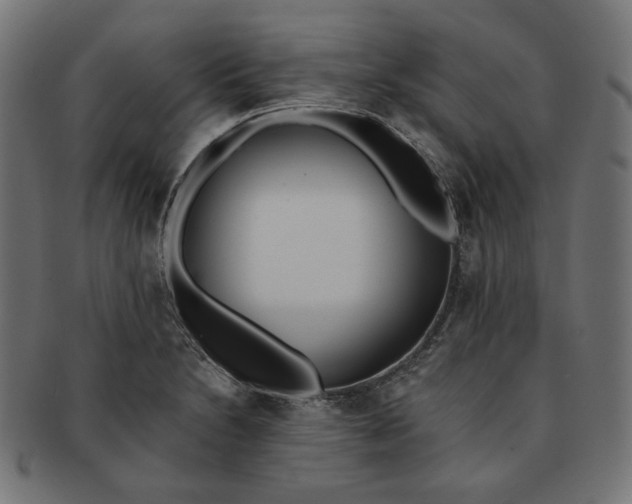 X0000091511230200709070946