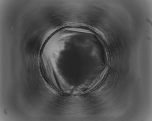 X0000091511231200709070946