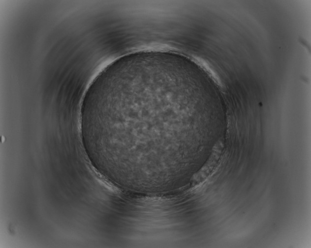 X0000091511232200709070946