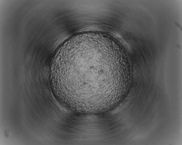 X0000091511233200709070946