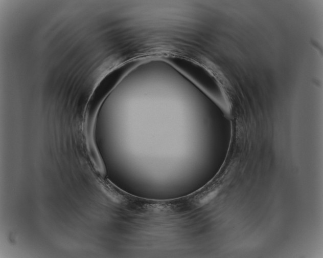 X0000091511234200709070946