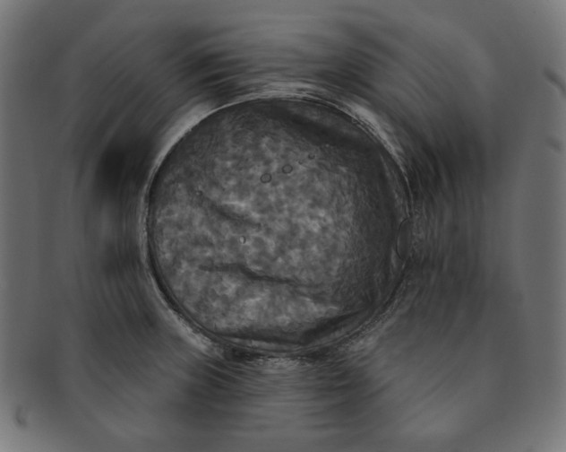 X0000091511235200709070946