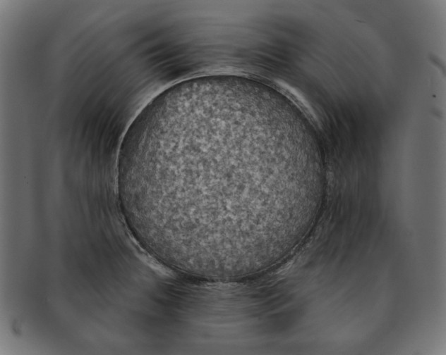 X0000091511236200709070946