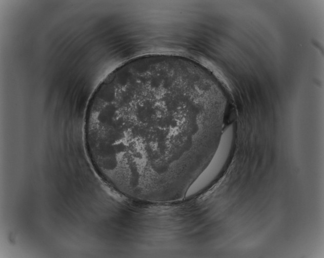 X0000091511237200709070946