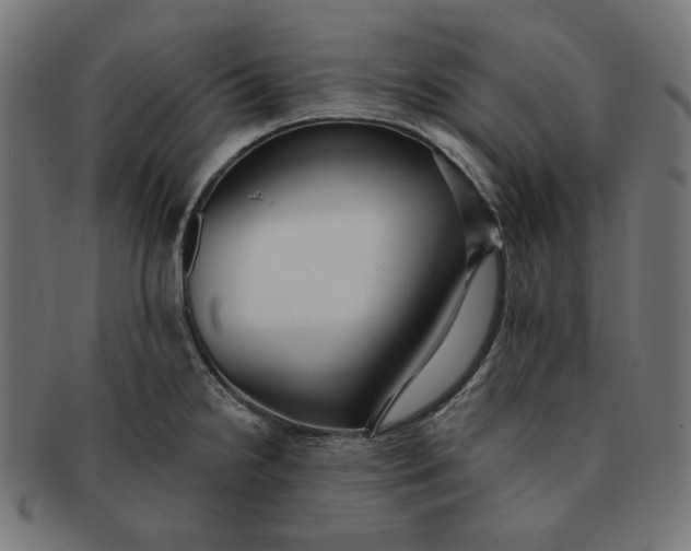 X0000091511238200709070946