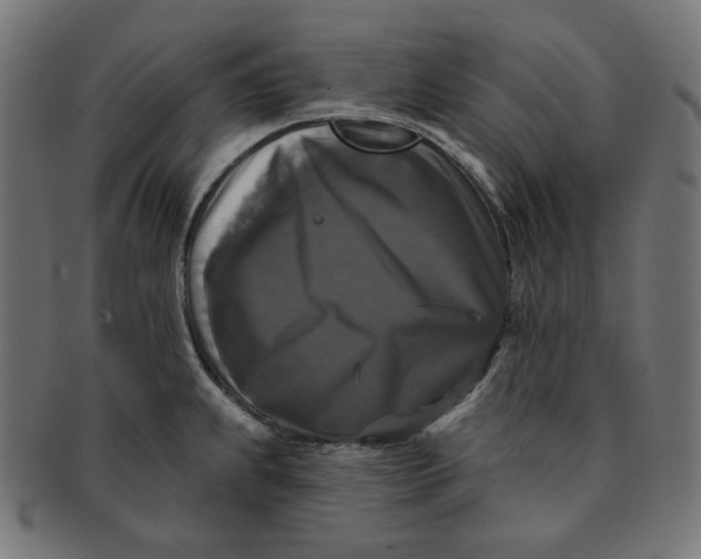 X0000091511239200709070946