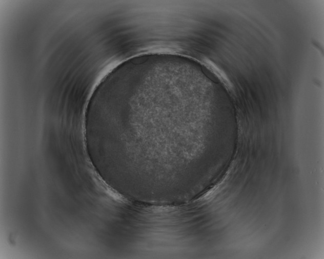 X0000091511240200709070946