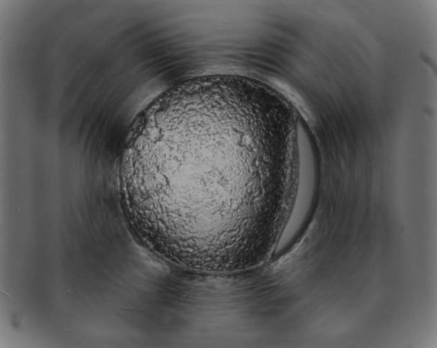 X0000091511241200709070946