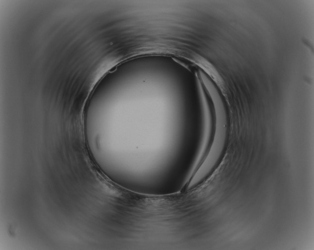 X0000091511242200709070946