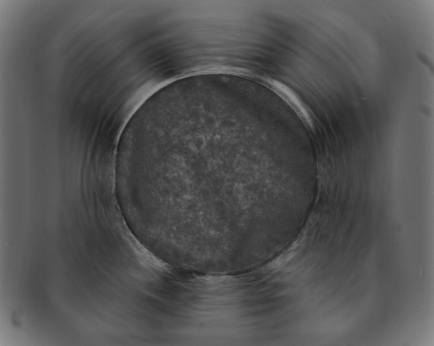 X0000091511244200709070946