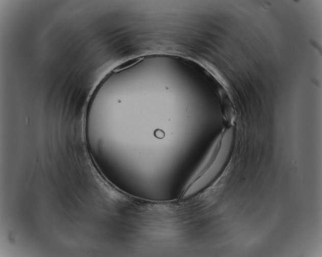 X0000091511246200709070946