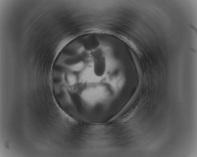 X0000091511247200709070946