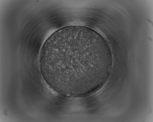 X0000091511248200709070946