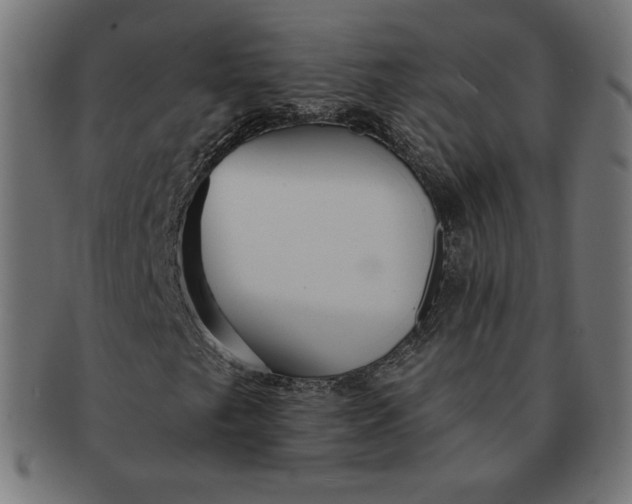 X0000091511249200709070945