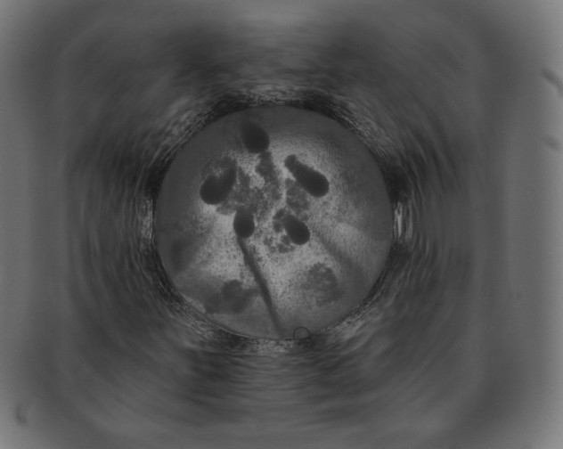 X0000091511251200709070945