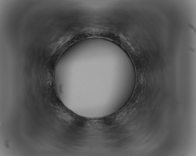 X0000091511253200709070945