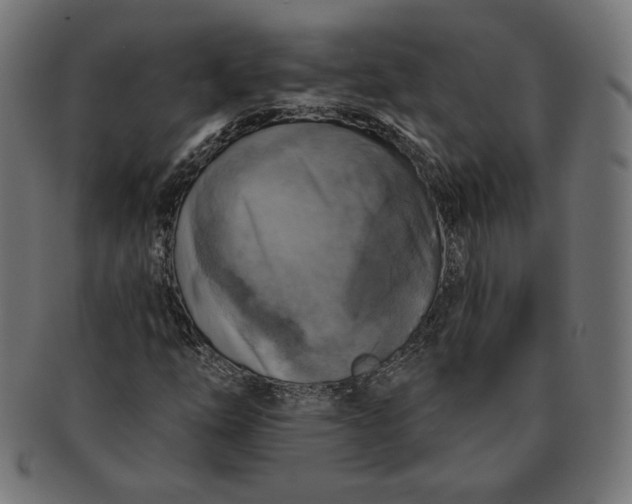 X0000091511254200709070945